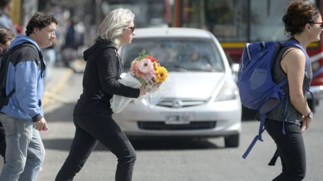 lunes agradable y con algunas nubes: asi estara el clima en la plata