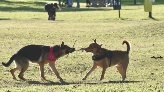 con aires de otono, el viernes amanecio fresco en la previa de un fin de semana agradable