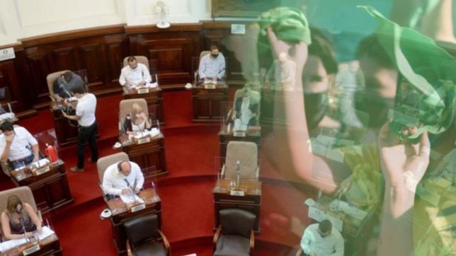 si se votara en el concejo deliberante de la plata, el proyecto del aborto seria aprobado