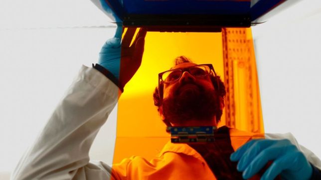 investigadores de la unlp avanzan con tecnicas para diagonisticar con precision la toxoplasmosis