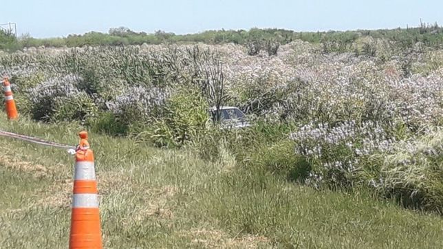 un auto se despisto en la autopista y una familia termino atrapada en un zanjon