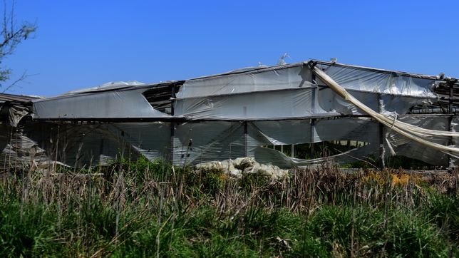 proponen crear un registro de productores del cordon frutihorticola de la plata
