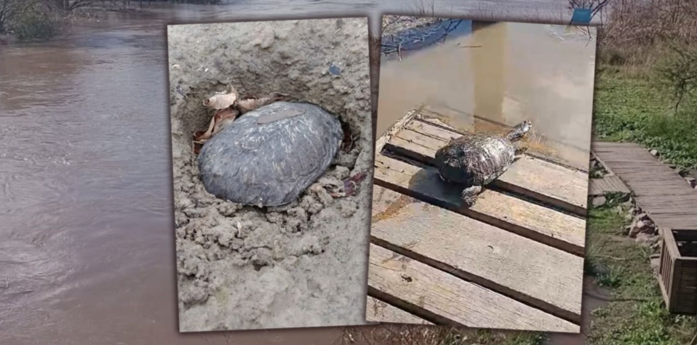 1685134840103.jpg?x=6&y=0&width=1484&height=742&rotate=0&scaleX=1&scaleY=1&ow=1500&oh=742&&cw=1920&ch=950