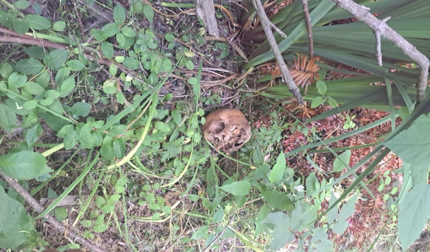 Copia de Copia de Tapa horizontal.png