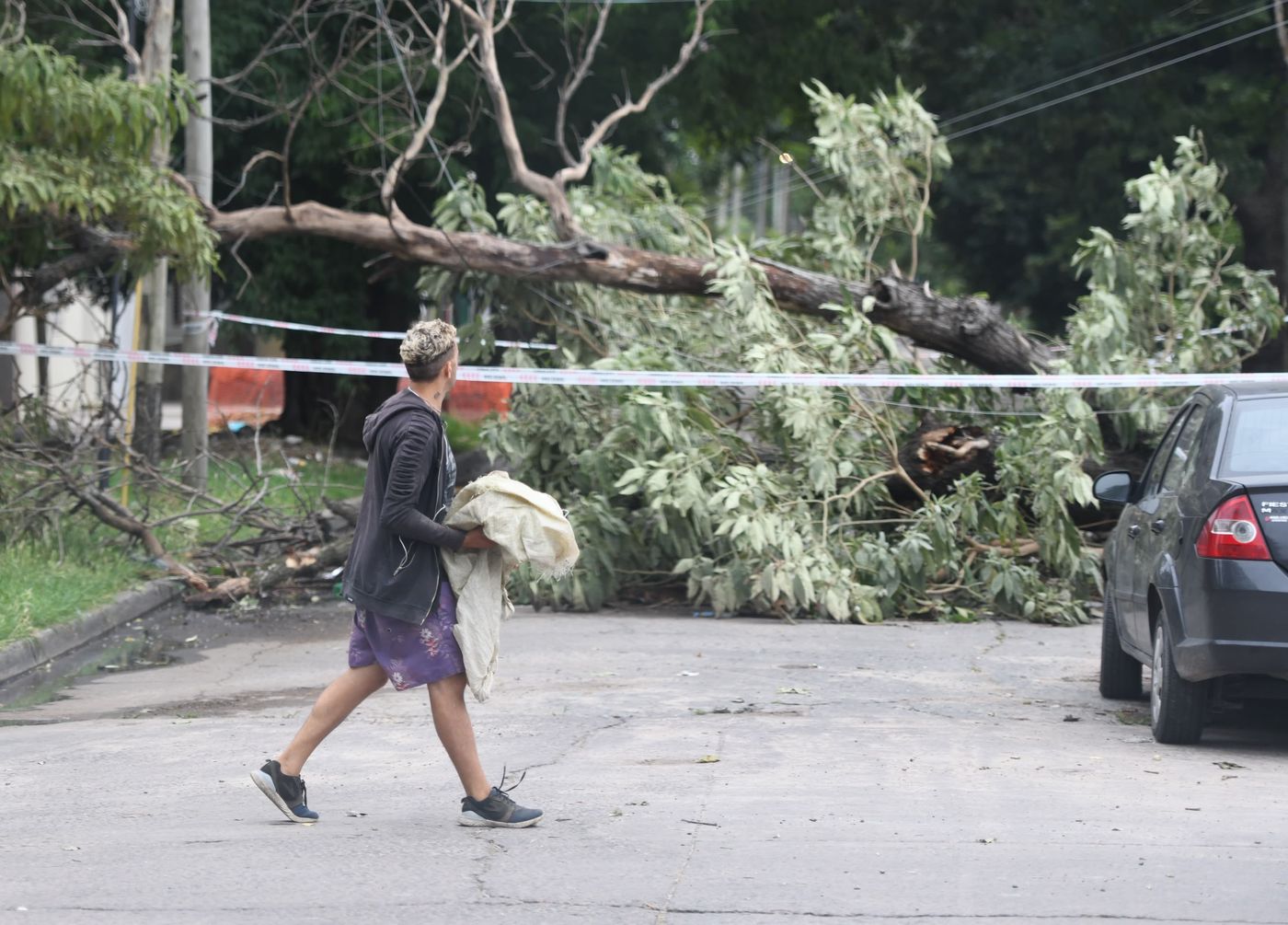 Temporal árboles y ramas caídas (4).jpeg