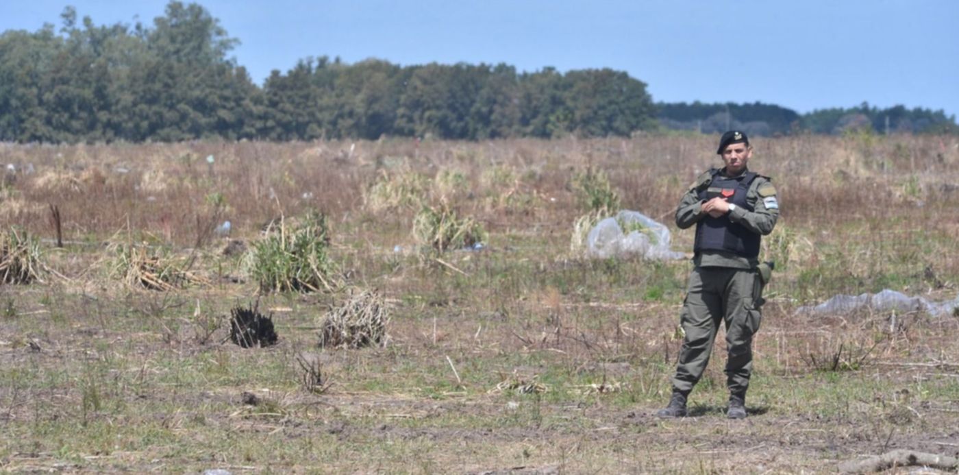 1582645085240.jpg?x=17&y=109&width=1480&height=740&rotate=0&scaleX=1&scaleY=1&ow=1500&oh=998&&cw=1920&ch=950