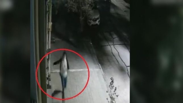 el dramatico video de la mujer que logro escapar del ataque de motochorros en la plata