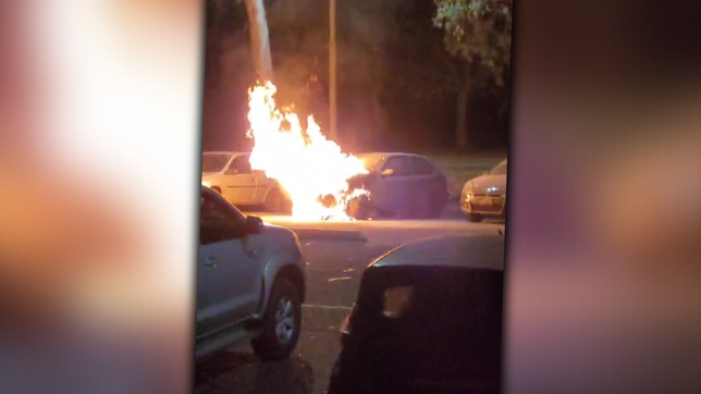 tension y nerviosismo en el bosque por el incendio de un auto antes del partido de gimnasia