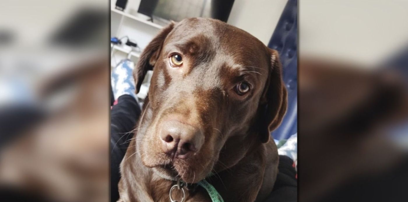 1656355682944.jpg?x=21&y=6&width=1458&height=730&rotate=0&scaleX=1&scaleY=1&ow=1500&oh=742&&cw=1920&ch=950