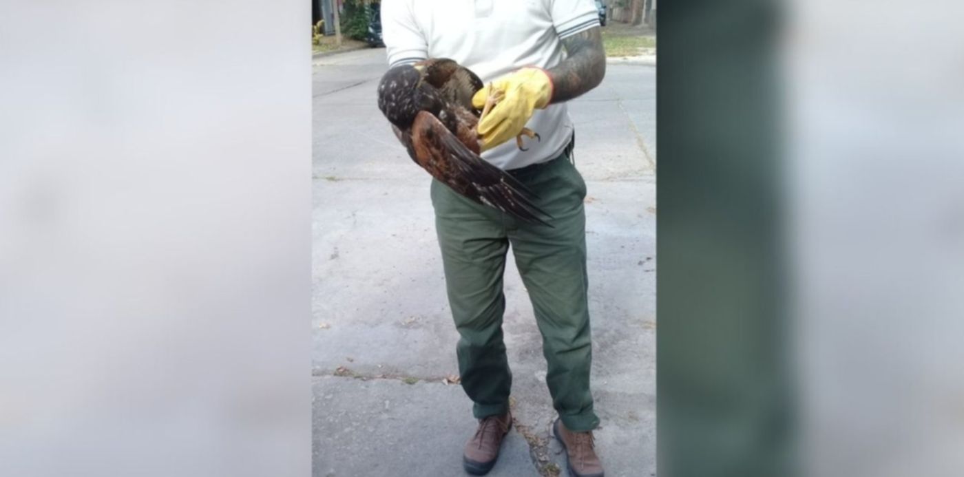 1619641880772.jpg?x=39&y=7&width=1267&height=633&rotate=0&scaleX=1&scaleY=1&ow=1350&oh=650&&cw=1920&ch=950