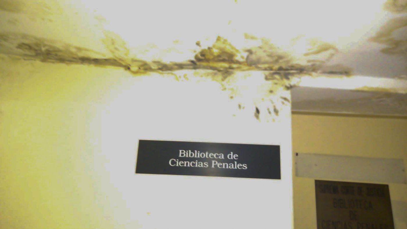 Una de las sedes del fuero Penal de La Plata presenta grave falta de mantenimiento y fallas edilicias