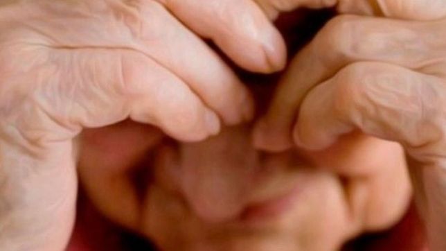 atraparon al ladron que asalto y apunalo a una jubilada en villa elvira