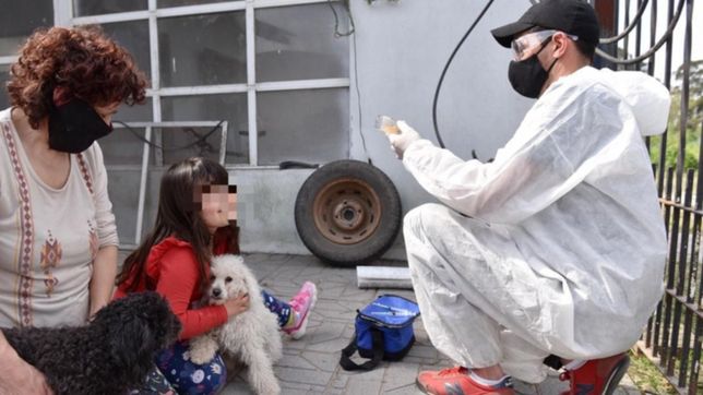 reconocieron a los expertos platenses que detectaron el primer caso de covid en animales