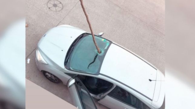 como es el estado de salud del platense herido por una rama que se incrusto en el auto