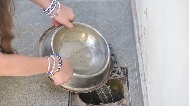 piden a los vecinos de la plata tirar el agua acumulada tras las lluvias para evitar un brote de dengue