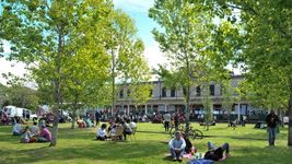 meridiano v celebra el dia del arbol con una jornada de forestacion en avenida 72