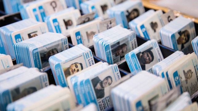 piden que la renovacion de las licencias de conducir robadas sea gratis en la plata