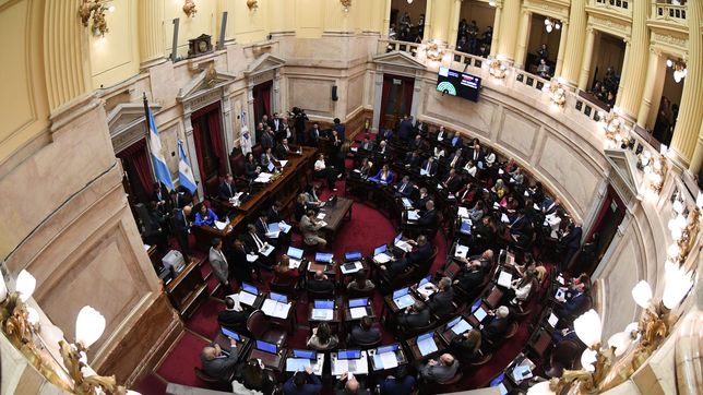 el senado rechazo el veto de milei y reactivo la ley de emergencia en discapacidad