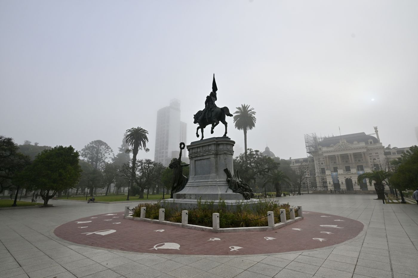 Neblina niebla (3)