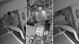 un ladron robo un kiosco de la plata y sono la alarma, pero igual se quedo robando un ladron robo un kiosco de la plata y sono la alarma, pero igual se quedo robando