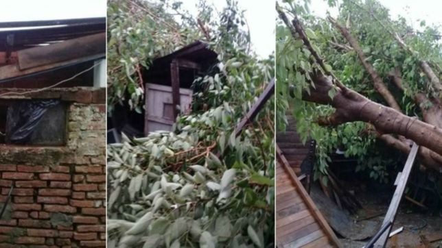 el drama de una familia de la granja: el viento les volo el techo y quedaron en la calle