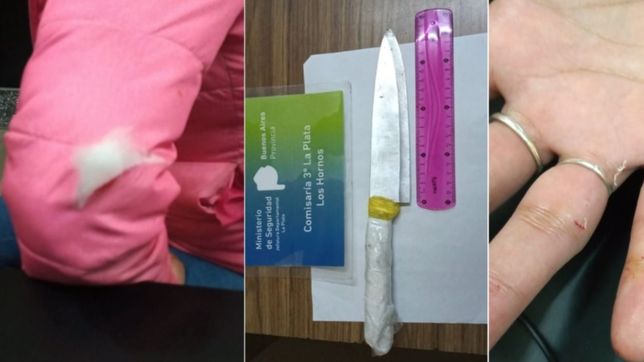 una chica de 14 anos hirio a una mujer con un cuchillo y le robo el celular