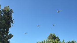 gran cantidad de helicopteros sobrevolaron los cielos de la plata y sorprendieron a los vecinos gran cantidad de helicopteros sobrevolaron los cielos de la plata y sorprendieron a los vecinos