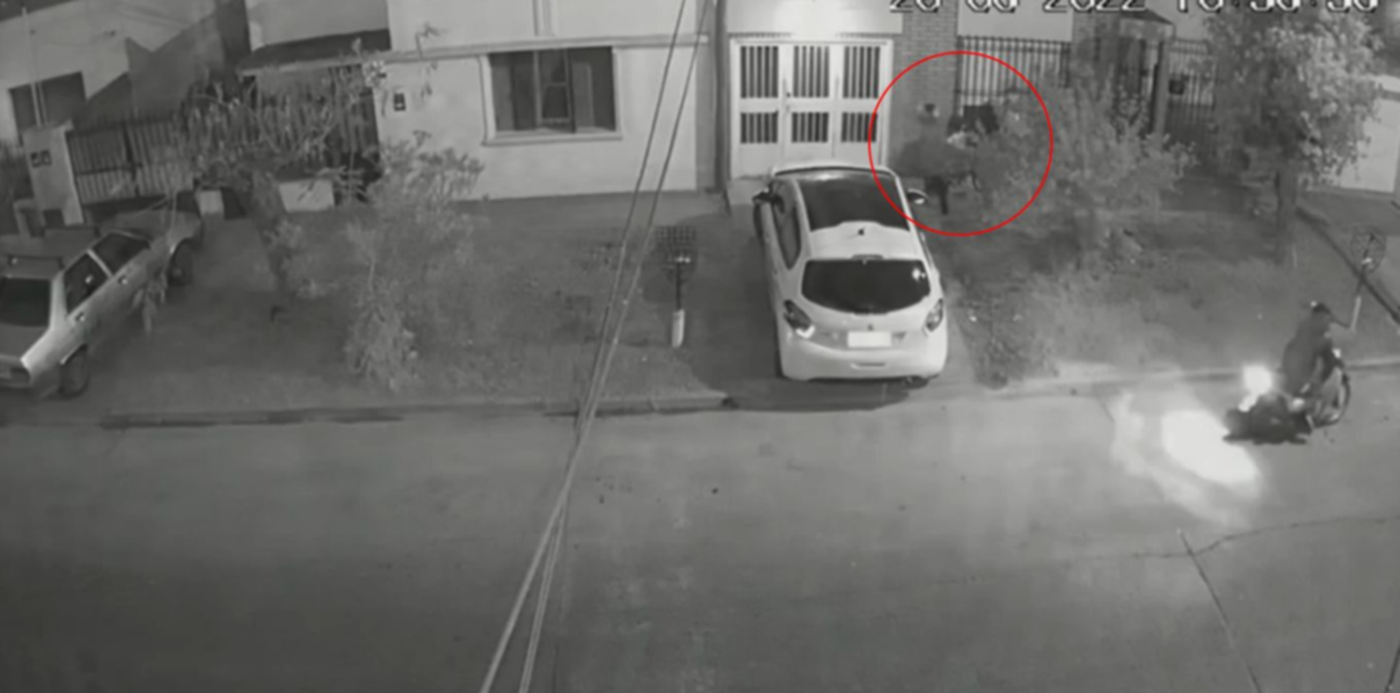 1656501889057.jpg?x=125&y=0&width=1384&height=692&rotate=0&scaleX=1&scaleY=1&ow=1500&oh=692&&cw=1920&ch=950