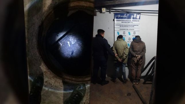 los tortugas ninjas: ladrones usaron las alcantarillas de la plata para robar