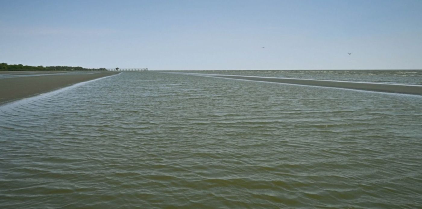 Cianobacterias en el Río de La Plata