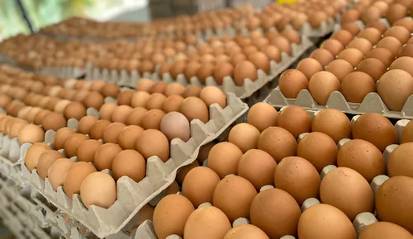 Huevos.webp