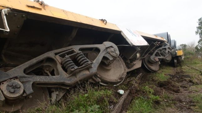 todas las imagenes del tren de carga que descarrilo en tolosa y casi vuelca