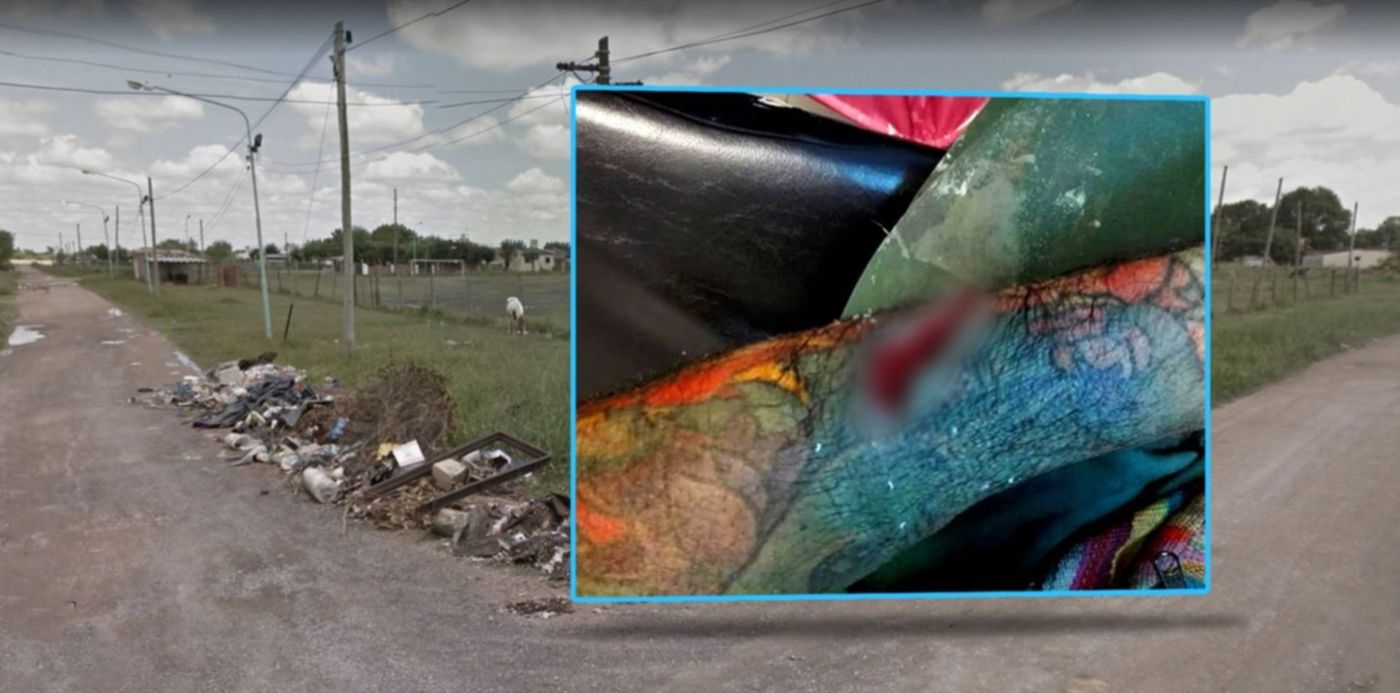 1547570319185.jpg?height=742&rotate=0&scaleX=1&ow=1500&oh=742&width=1484&y=0&scaleY=1&x=10&&cw=1920&ch=950