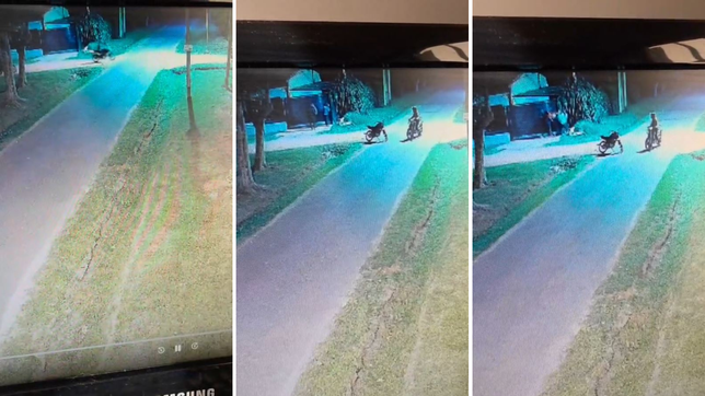 cuatro ladrones intentaron forzar el porton de una casa y la familia los echo a los gritos