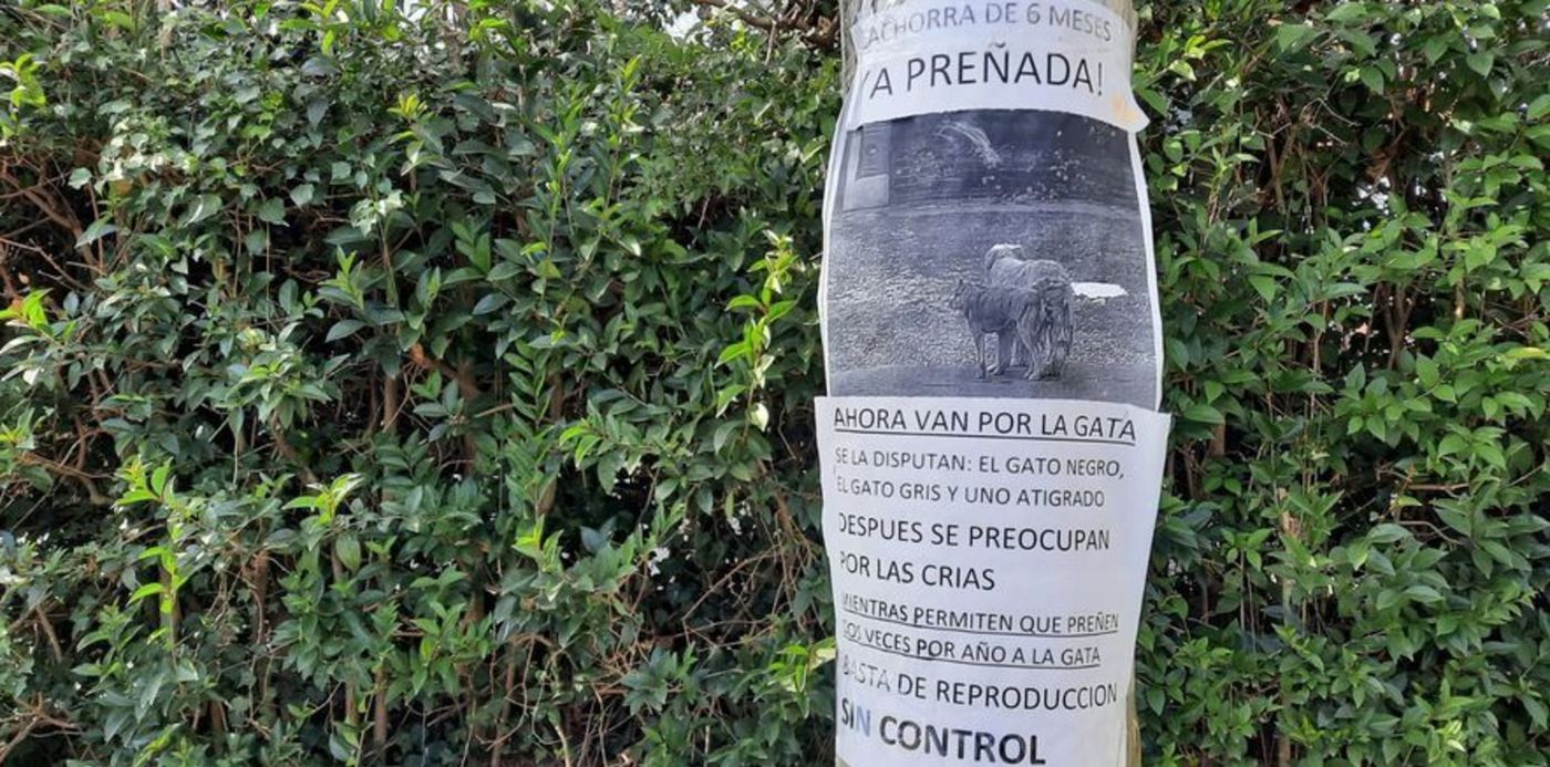 1626794737208.jpeg?x=2&y=22&width=883&height=441&rotate=0&scaleX=1&scaleY=1&ow=887&oh=499&&cw=1920&ch=950