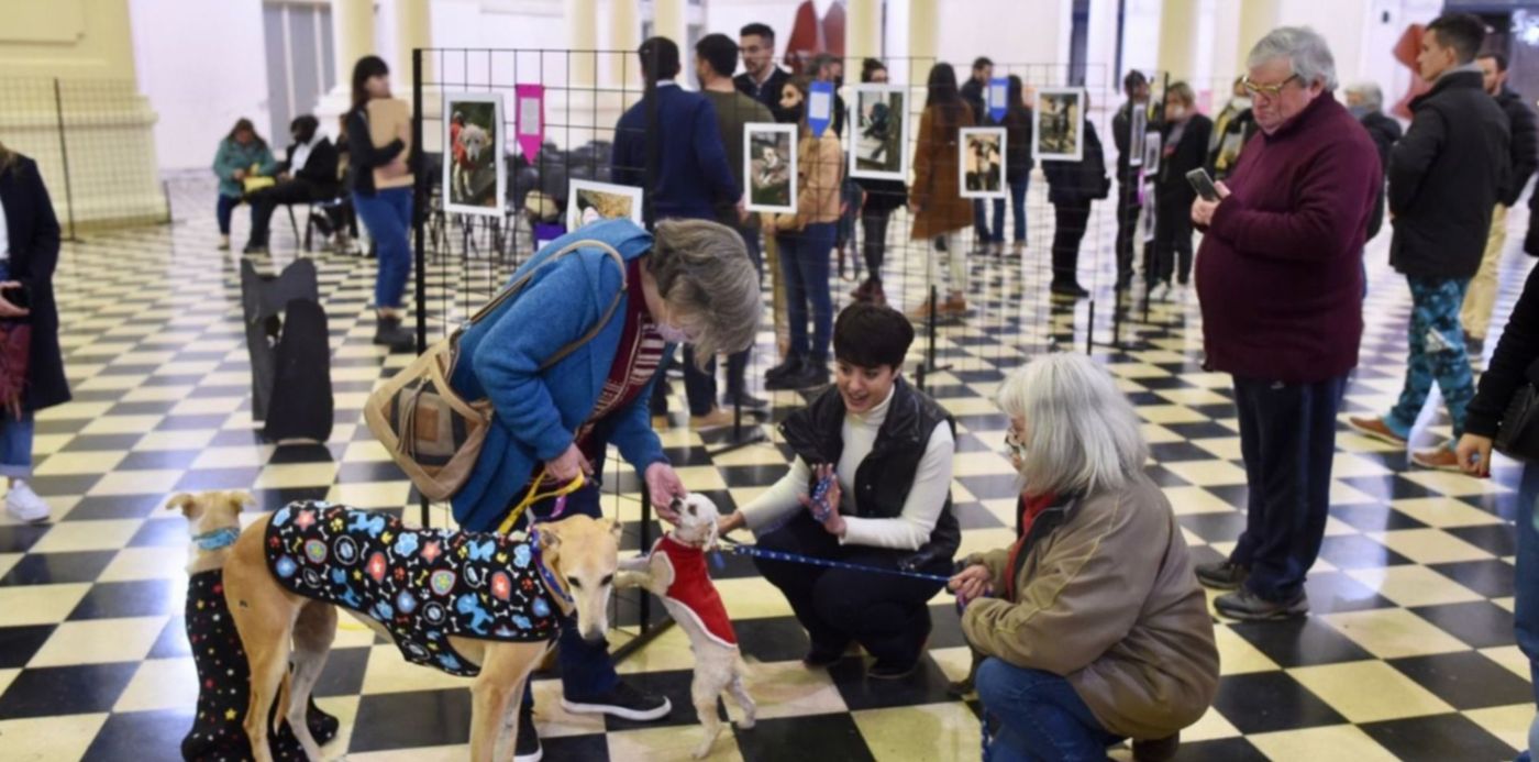 1653691431414.jpeg?x=21&y=131&width=1478&height=739&rotate=0&scaleX=1&scaleY=1&ow=1500&oh=995&&cw=1920&ch=950