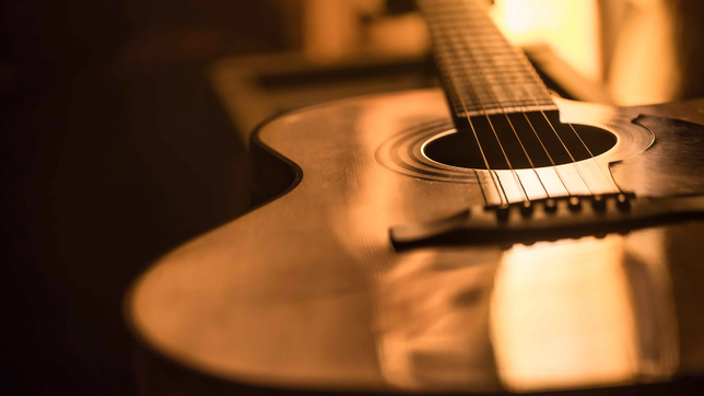 tras el crimen de un musico en un robo, buscan crear un registro de instrumentos