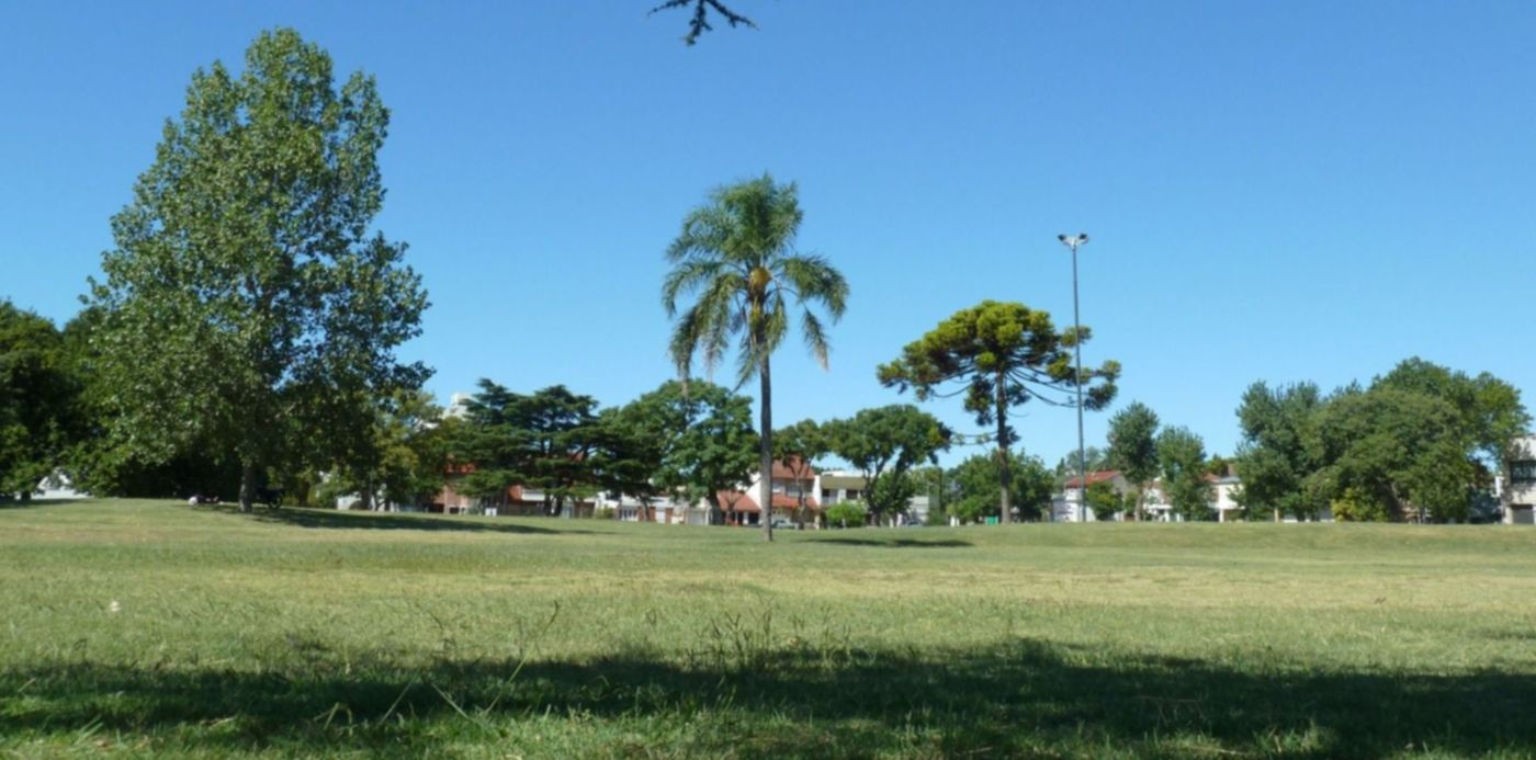 1675885248731.jpg?x=4&y=330&width=1492&height=746&rotate=0&scaleX=1&scaleY=1&ow=1500&oh=1125&&cw=1920&ch=950