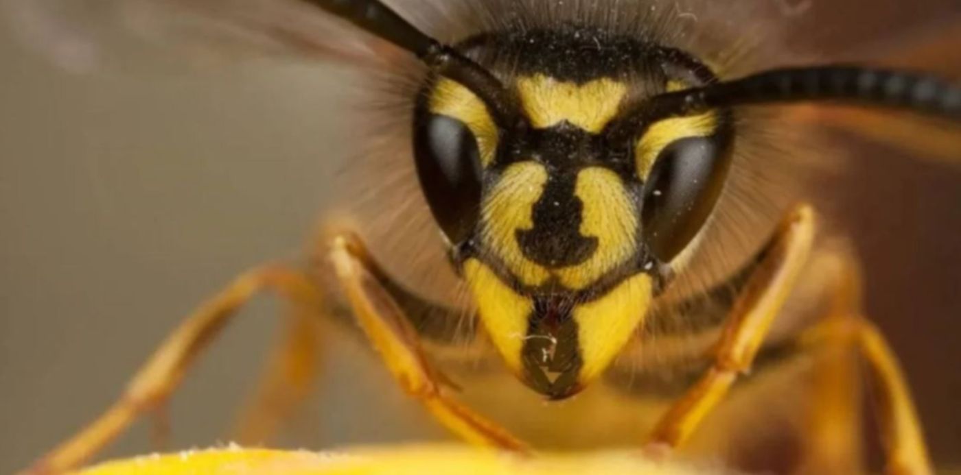 1605212486154.jpg?x=2&y=31&width=1102&height=551&rotate=0&scaleX=1&scaleY=1&ow=1107&oh=623&&cw=1920&ch=950