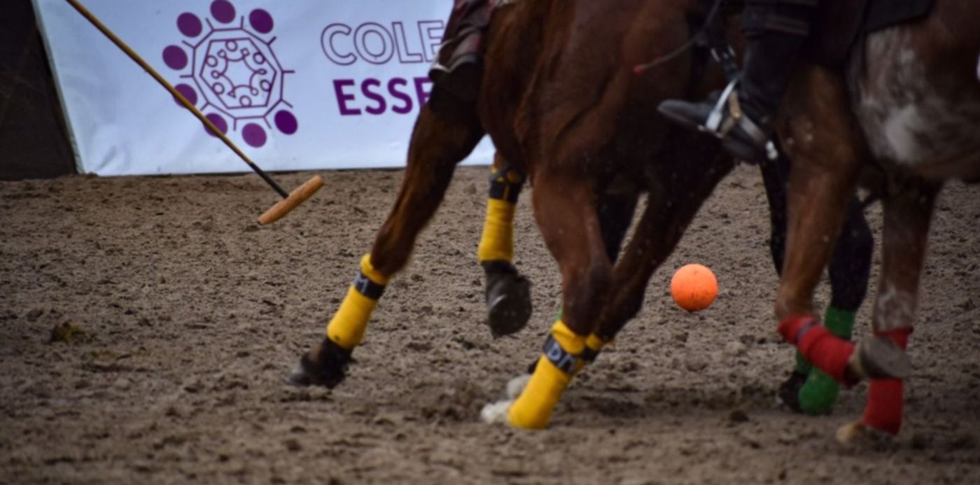 1661547984374.jpeg?x=7&y=81&width=1490&height=745&rotate=0&scaleX=1&scaleY=1&ow=1500&oh=999&&cw=1920&ch=950