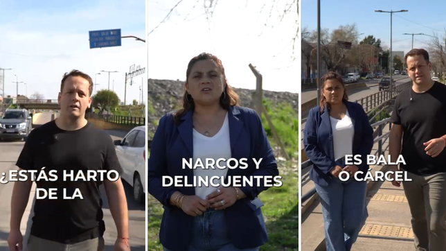 un candidato del partido libertario en la plata lanzo un polemico video de campana