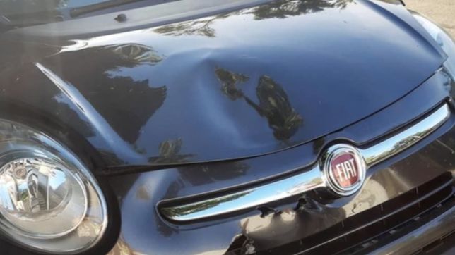 la justicia descarta que los jovenes atropellados hayan asaltado a carolina piparo