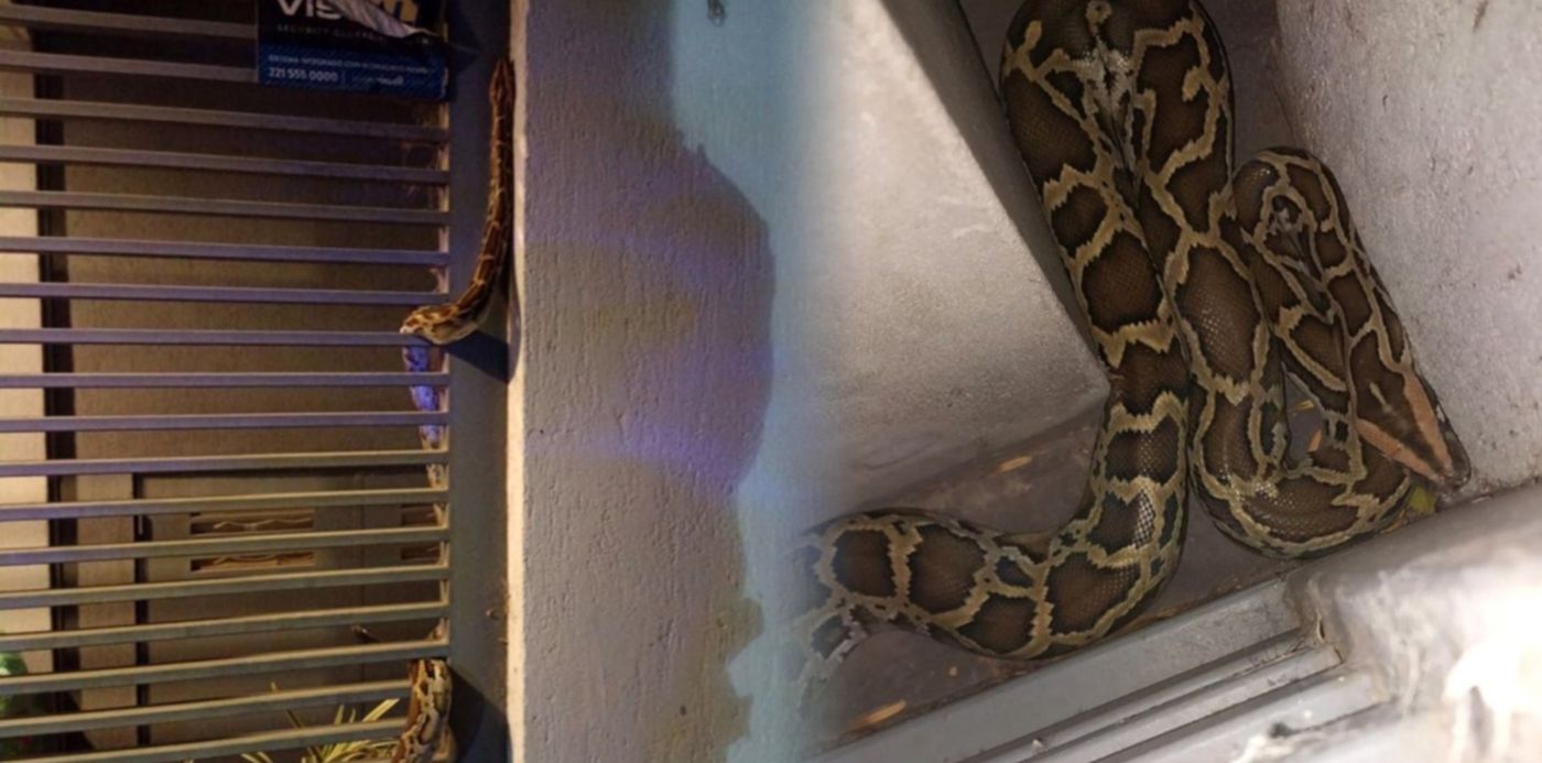 1682344871141.jpg?x=0&y=13&width=1434&height=716&rotate=0&scaleX=1&scaleY=1&ow=1500&oh=742&&cw=1920&ch=950