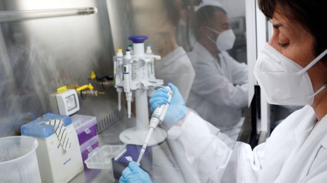 alerta por la nueva cepa del covid-19: las tres incognitas que plantea la cepa omicron