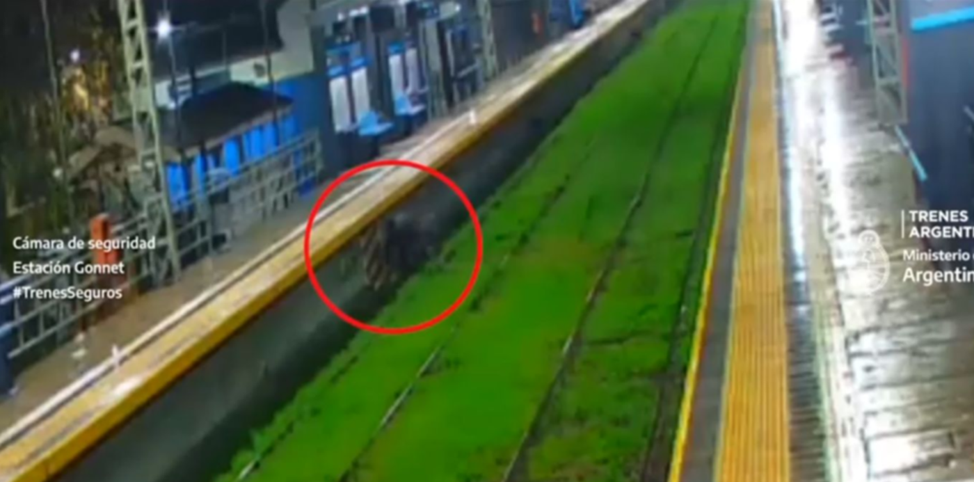 1686923830005.jpg?x=4&y=0&width=1348&height=674&rotate=0&scaleX=1&scaleY=1&ow=1500&oh=674&&cw=1920&ch=950