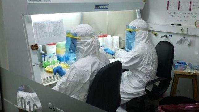 en las ultimas horas se sumaron 119 casos nuevos de coronavirus en la plata
