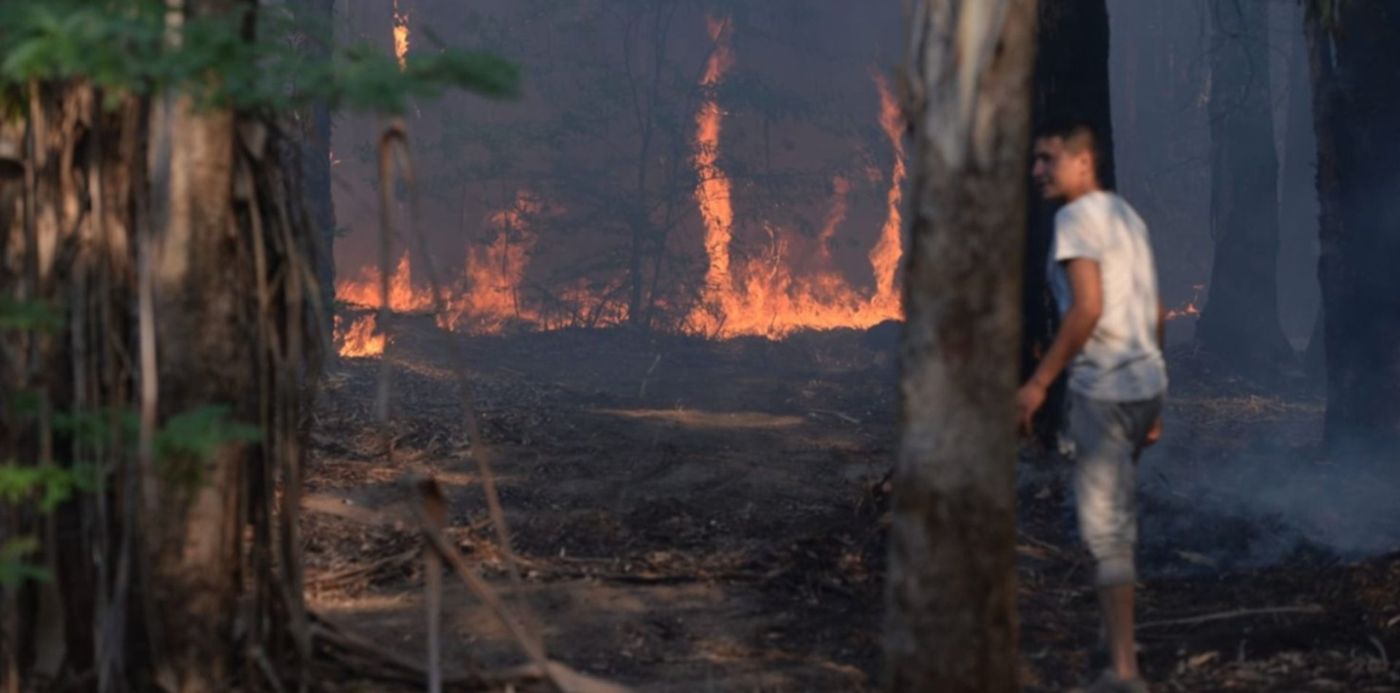 Incendio Parque Pereyra