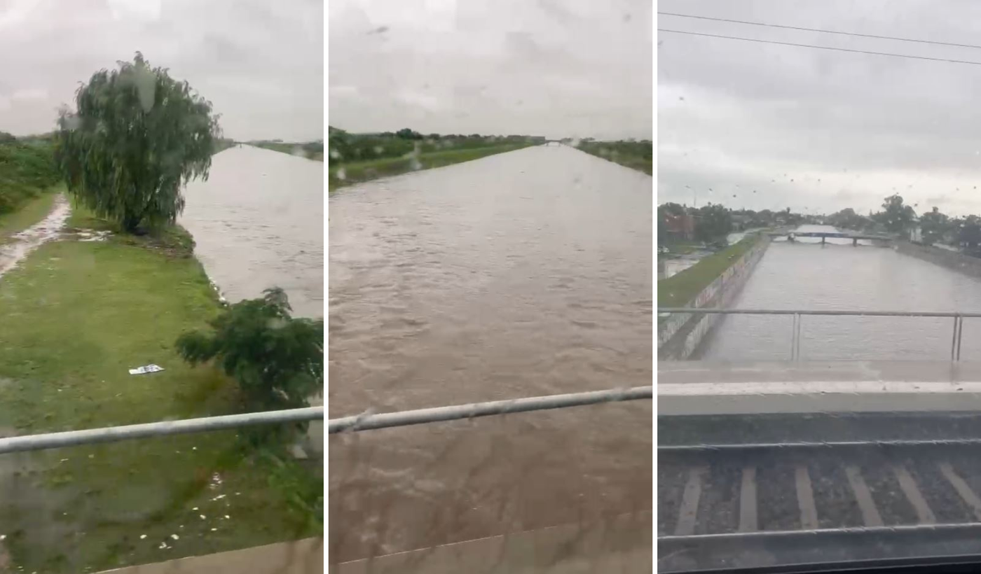 El video del Arroyo El Gato de La Plata a tope, registrado desde el Tren  Roca