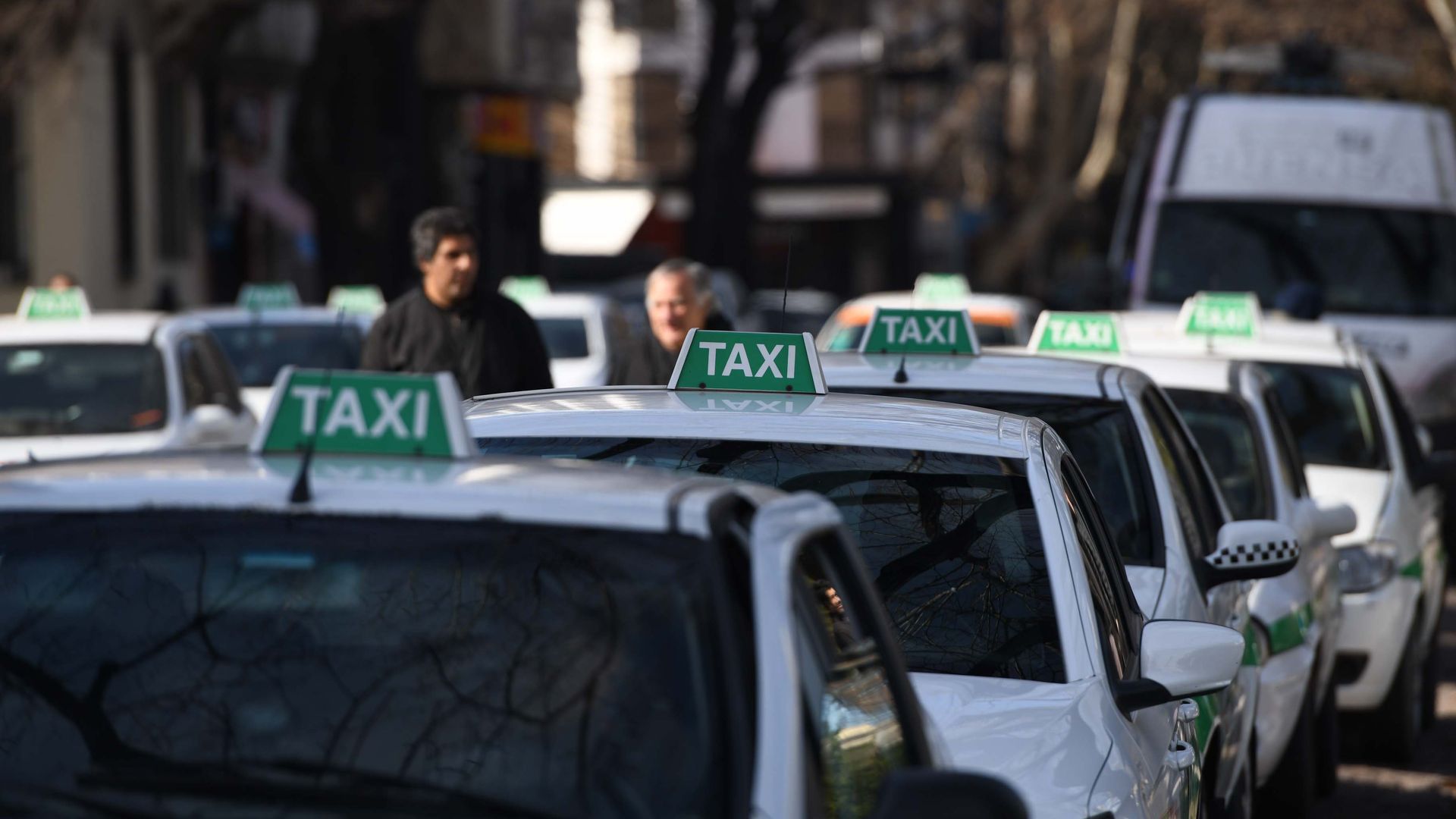 Fuerte postura de los taxistas de La Plata, Berisso y Ensenada y pedido a los intendentes contra la nueva licencia profesional