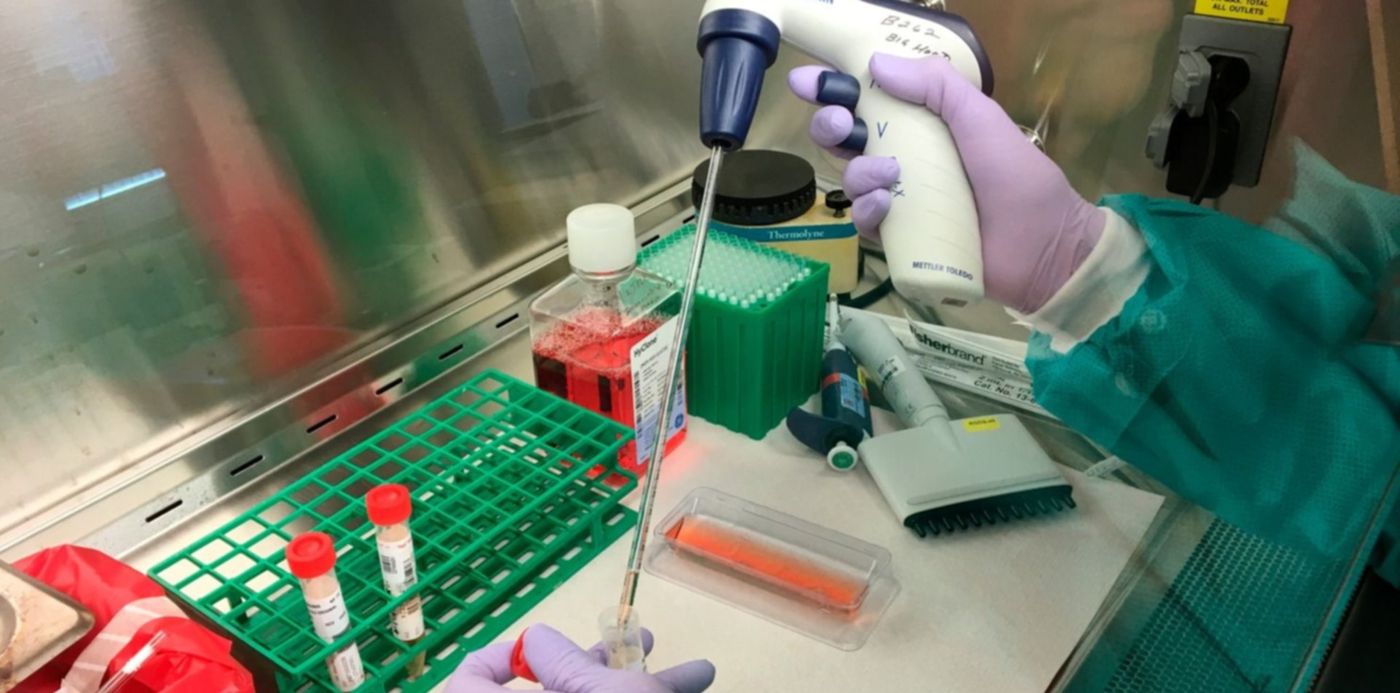 1585424735336.jpg?x= 7&y=70&width=1513&height=757&rotate=0&scaleX=1&oh=1000&scaleY=1&ow=1500&&cw=1920&ch=950